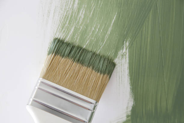 Best Mold Remediation for Healthcare Facilities  in Las Animas, CO