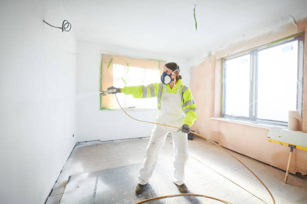 Mold Odor Removal Services in Las Animas, CO