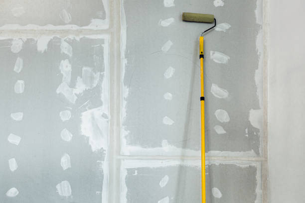 Best Forensic Mold Investigation  in Las Animas, CO