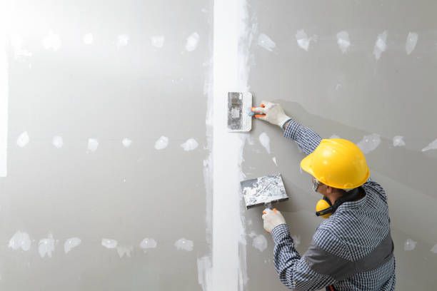 Best Water Damage & Mold Remediation  in Las Animas, CO