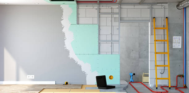 Trusted Las Animas, CO Mold Removal Experts