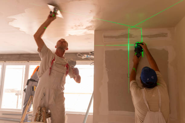 Mold Documentation for Insurance Claims in Las Animas, CO