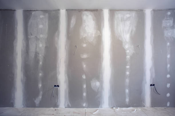 Best Mold Removal for HVAC Installations  in Las Animas, CO